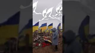 Погибшим украинским воинам посвящается 2023 Марк Бернес - Журавли