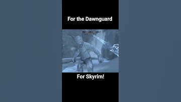 For the Dawnguard! #skyrim #gaming #funny