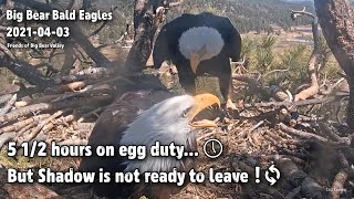 Big Bear Eagles🦅5 1\/2 Hours On Egg Duty...🕔 But Shadow Is Not Ready To Leave ❗️🔄2021-04-03
