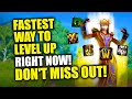 DO THIS NOW! Fastest Way To Level Up From 10-80! Get +75% XP! TWW Leveling Guide | Patch 11.0.5