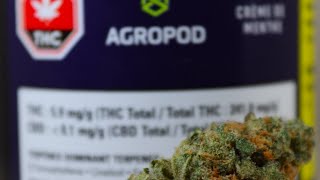 Crème de Menthe OFFICIAL STRAIN REVIEW