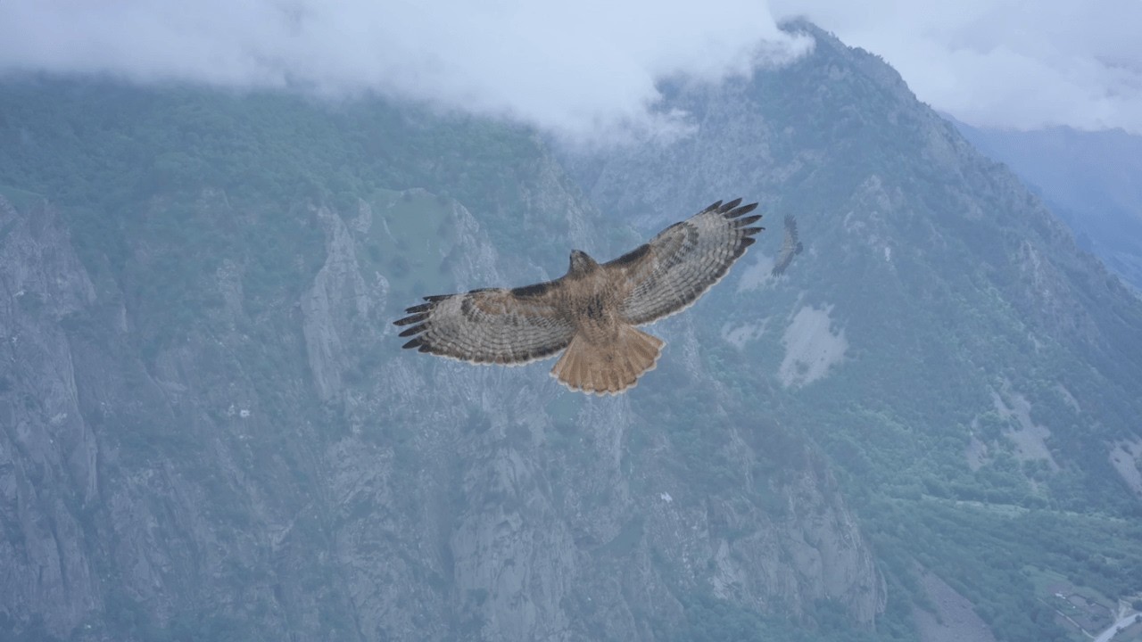 Relax, take a 6 minute break, Watchers of the Skies