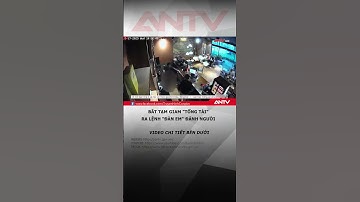 Bắt tạm giam "tổng tài" chỉ đạo đánh người tại quán cà phê #antv #shorts #tongtai