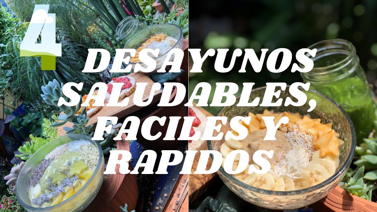 5 Desayunos Rpidos Fciles Y Saludables Mejor Con Salud 5 Desayunos Rpidos Fciles Y Saludables Mejor Con Salud