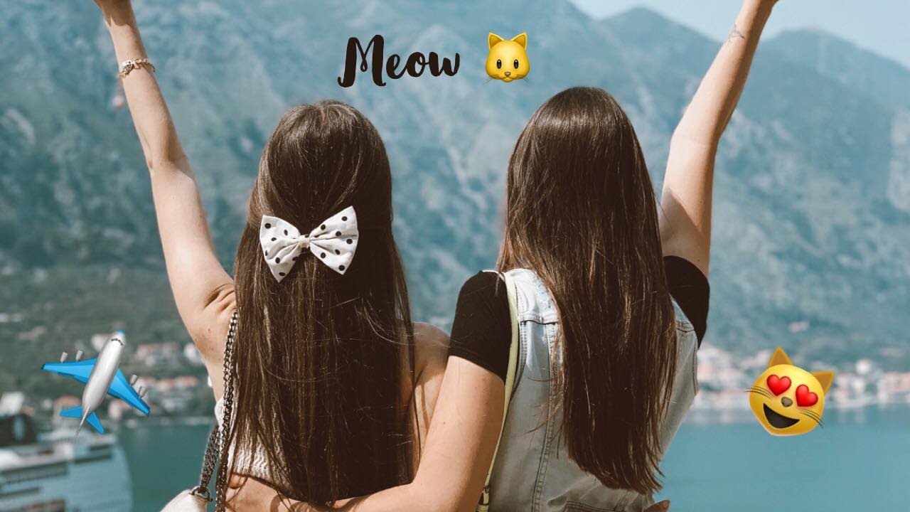 КОТКИ В КОТОР 🐈😍|| НАЙ-ЗАБАВНОТО ВИДЕО ОТ НАЧАЛОТО НА 