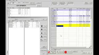 Race Manager Tutorial - Caution screenshot 4