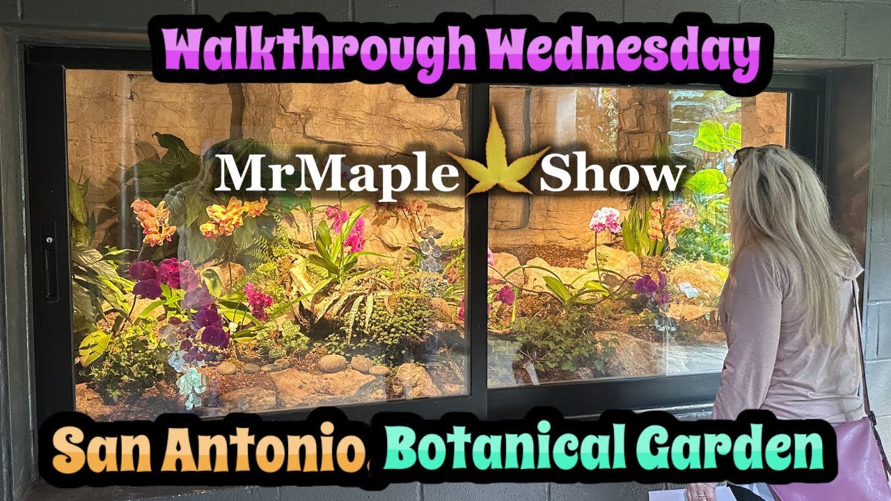San Antonio Botanical Garden Tour | Plant Travel | Orchids & Rare ...