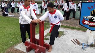 Ujian Kenaikan Tingkat Merpati Putih: Pematahan Kikir Dasar 2 ke Balik 1