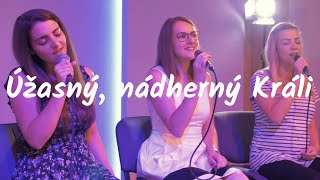 Úžasný, nádherný Králi (Selah - Wonderful, Merciful Saviour - Cover)