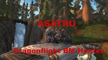 Dragonflight Beta BM Hunter PvP Duels & Arena