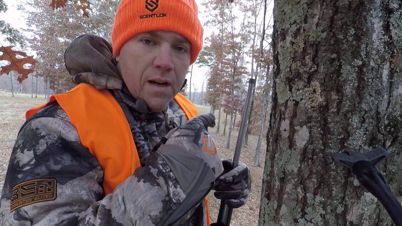 2019 Missouri Firearms Season Bucks Cruising YouTube