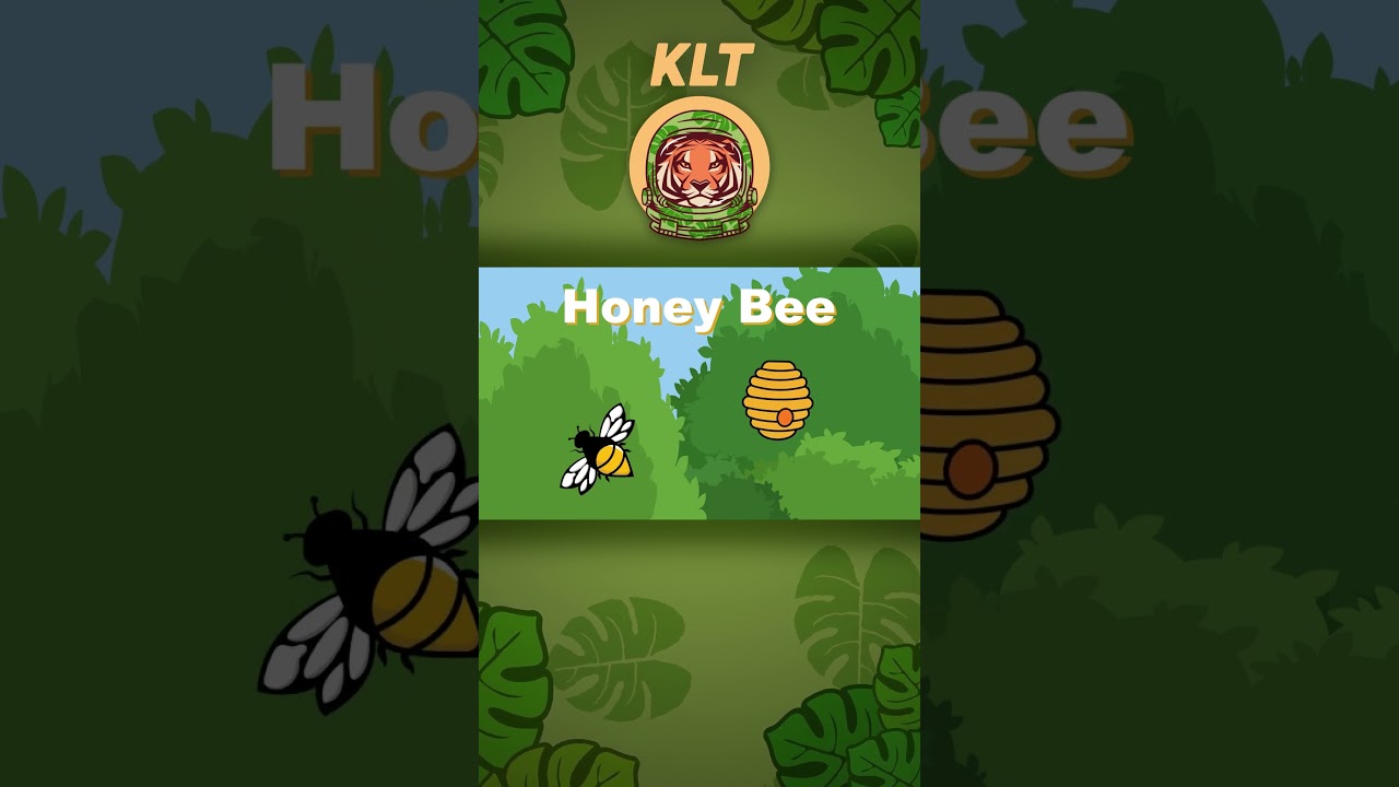 Come Explore This Tiny World Of Insects With Me! | KLT Wild 