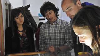 Enraizarte