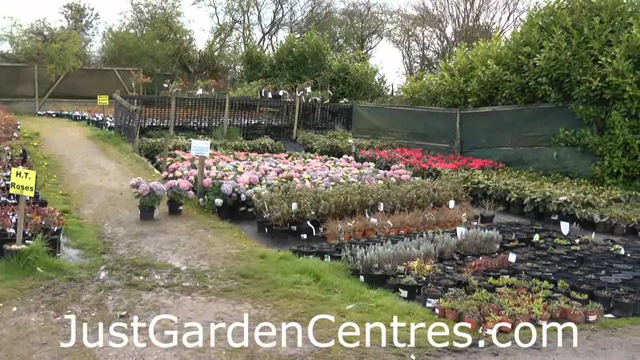 Rocky Mountain Nursery YouTube