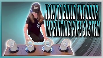 How To Build The Odor Imprinting Pipes for Detection and Scentwork