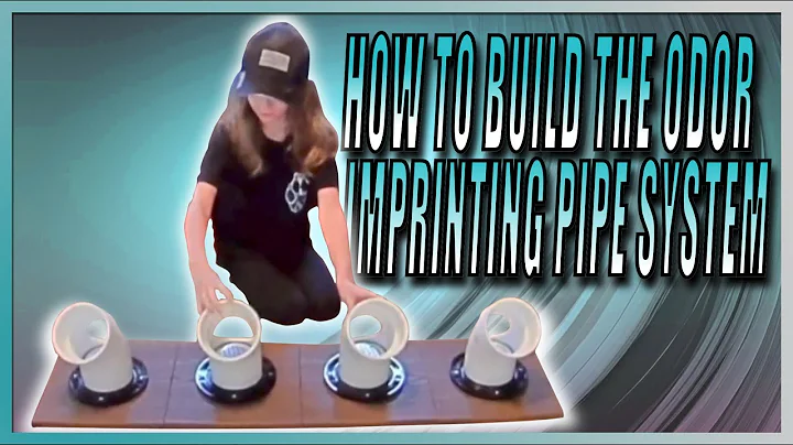 How To Build The Odor Imprinting Pipes for Detection and Scentwork