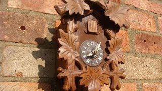 Small German Black Forest cuckoo clock With Pair of Weigh & Pendulum See Video.