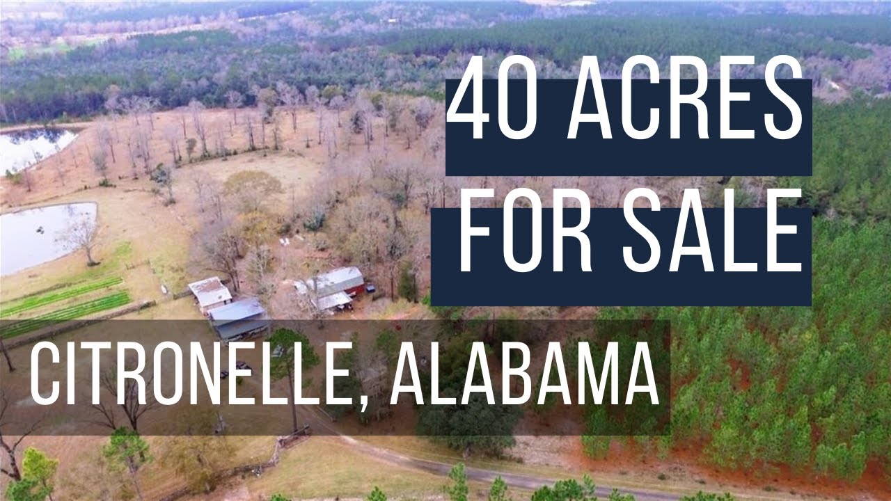 40 Acres of Land for Sale 11700 Earl Booth Road Citronelle, Alabama YouTube