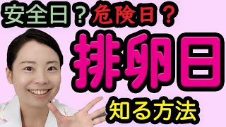 【医師直伝】妊娠したい人もしたくない人も排卵日を知っておこう！【産婦人科】