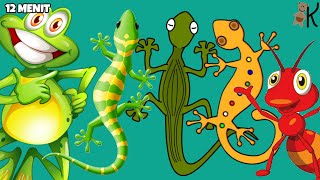 Cicak di Dinding - 5 Monyet Kecil - Ada Kodok | Lagu Anak dan Balita 12 Menit | Kancaku