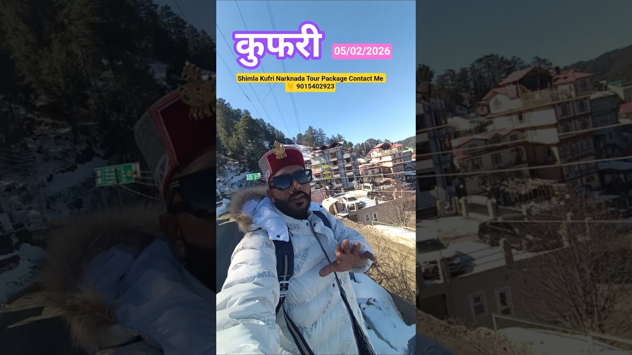 Обновление информации о снегопаде в Шимле и Куфри, обновление информации о снегопаде в Шимле и Ку...