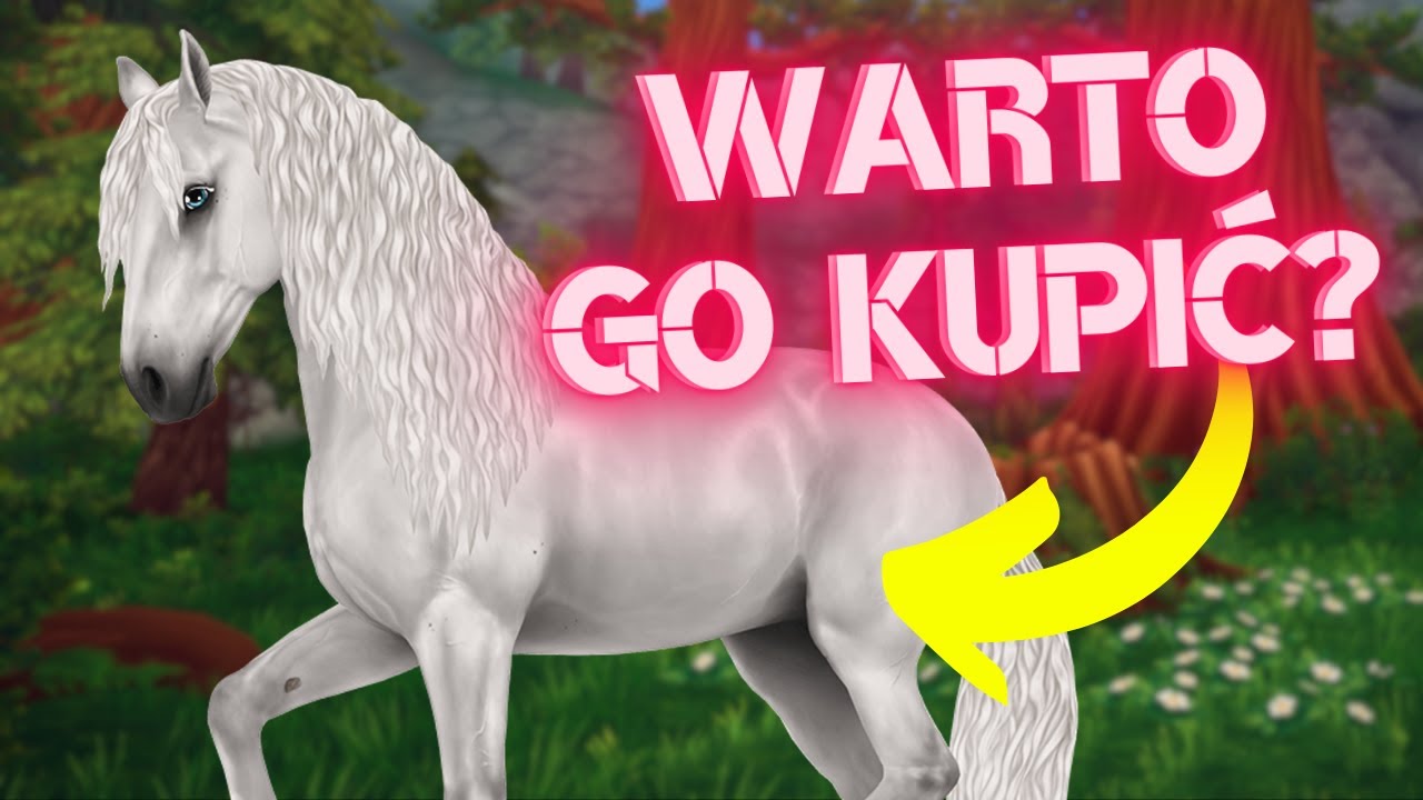 OCENIAMY NOWE ANDALUZY!