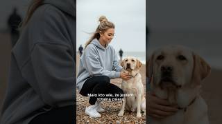 Dlaczego nie mam własnego psa mieszkając w UK? 🐶
