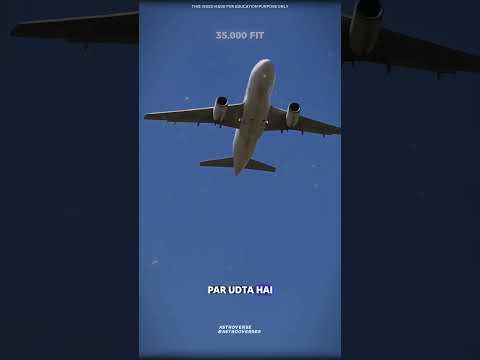 Vultures flying at