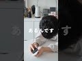 【iPhone11以前のユーザー必見】1200円で最新機種並の使い心地を実現する必須iPhoneアクセサリ！ 【Magsafe】