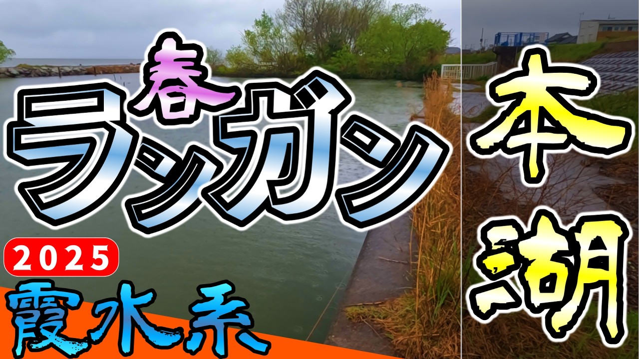 【バス釣り】【霞ヶ浦】春の霞を走ってみた