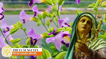 Phút Cầu Nguyện, Thứ Sáu 15/09/2023: Mẹ Sầu Bi