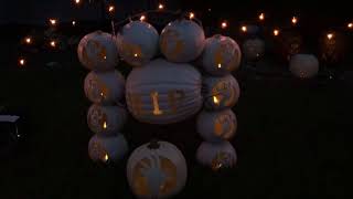 Backyard Pumpkin Patch - Halloween 2016