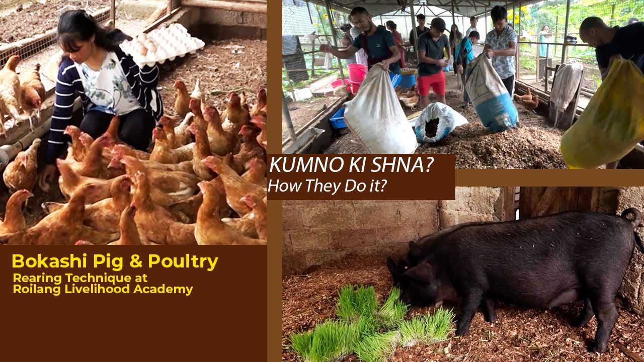 Kumno Ki Shna? Bokashi Pig & Poultry Rearing Technique at Bethany Society