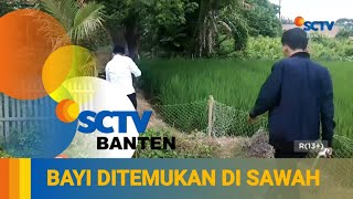 BUANG BAYI DI TENGAH SAWAH, IBU DAN ANAK DITANGKAP POLISI