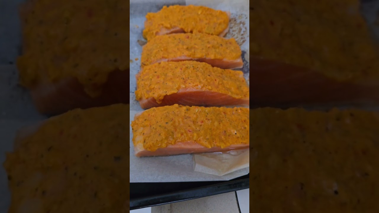 Salmon Fillet in the toaster oven for lunch | 