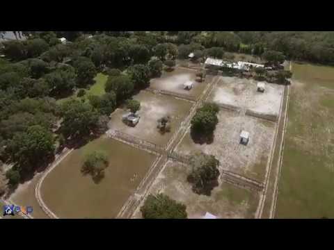 16315 McGlamery Rd, Odessa, FL home video tour