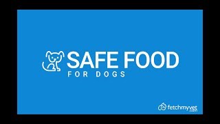 Safe Foods For Dogs