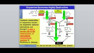 Methylation, Dopamine and Parkinson's Disease