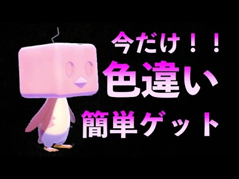 速報 今だけ誰でも簡単に色違いコオリッポをゲットできるぞ ポケモン剣盾 Youtube