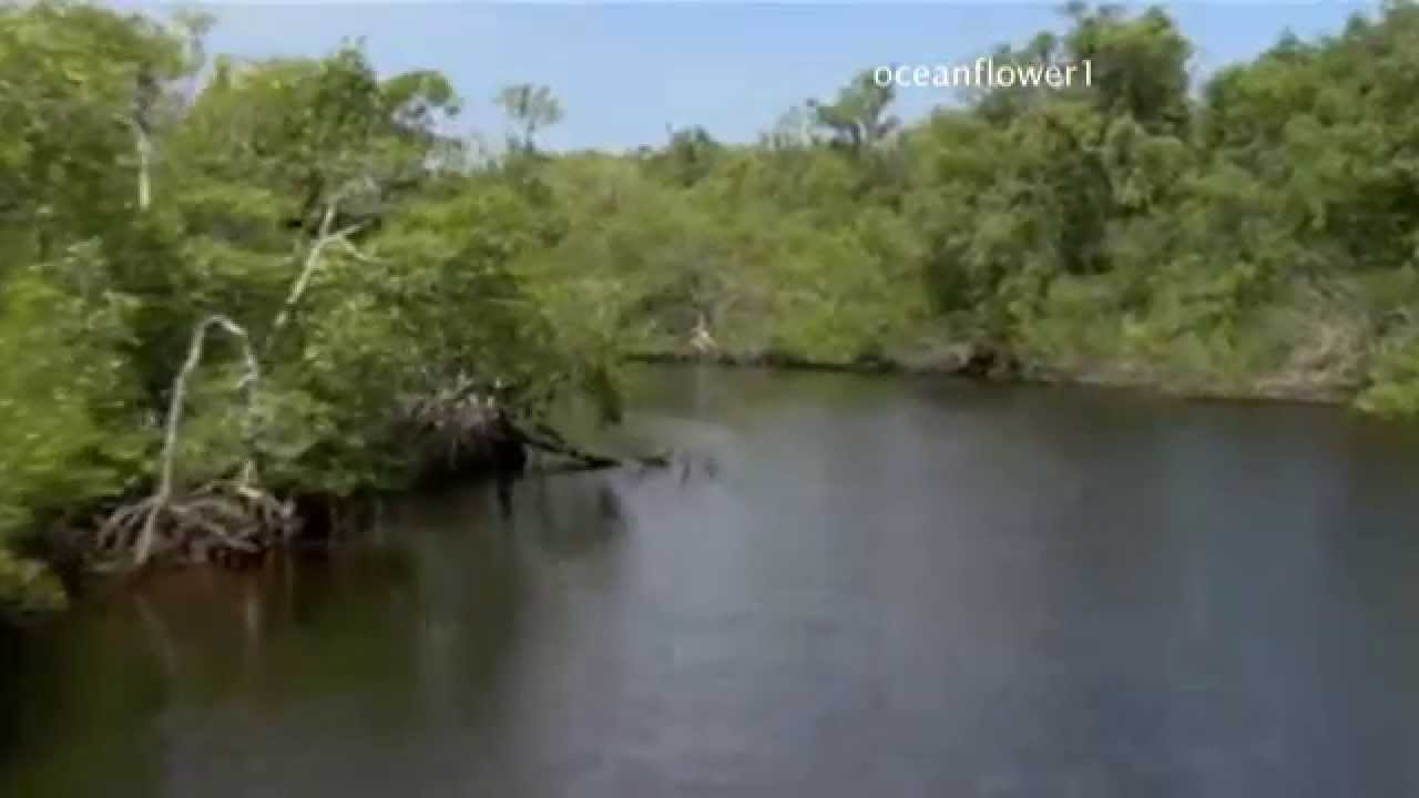 OMAR AKRAM - Secret Journey - YouTube