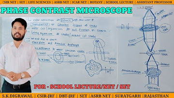 PHASE CONTRAST MICROSCOPE / USE OF PHASE CONTRAST MICROSCOPE / MICROSCOPY / UNSTAINED SPECIMEN/ PCM