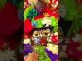 श्री रुक्मिणी द्वारकाधीश -15th June 2026
