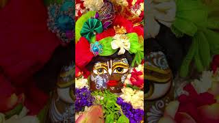 श्री रुक्मिणी द्वारकाधीश -15th June 2026