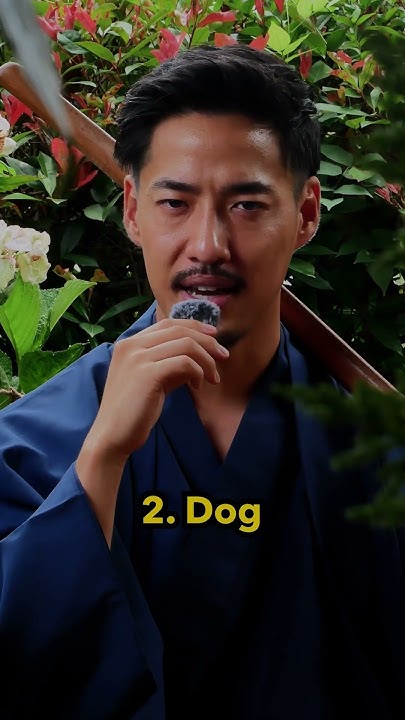 can-you-guess-what-this-japanese-word-means-shorts-youtube