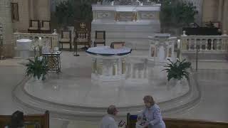 Daily Mass