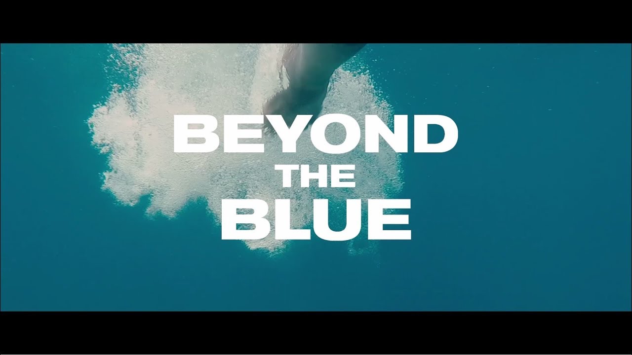 Beyond The Blue by Swim Dem Crew - YouTube