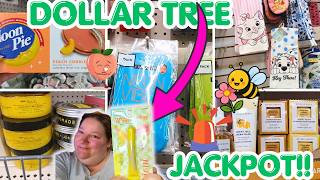 Dollar Tree 🔥🔥Jackpot finds!!🔥🔥| Wishlist items| Dollar Tree shop with me!