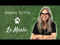 Animal totem  le merle  chamane urbaine