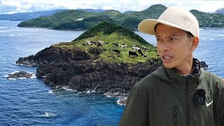 Download Lagu They called this Place the Happy Island (EcoFlow DELTA 3) MP3 Download Lagu They called this Place the Happy Island (EcoFlow DELTA 3) MP3