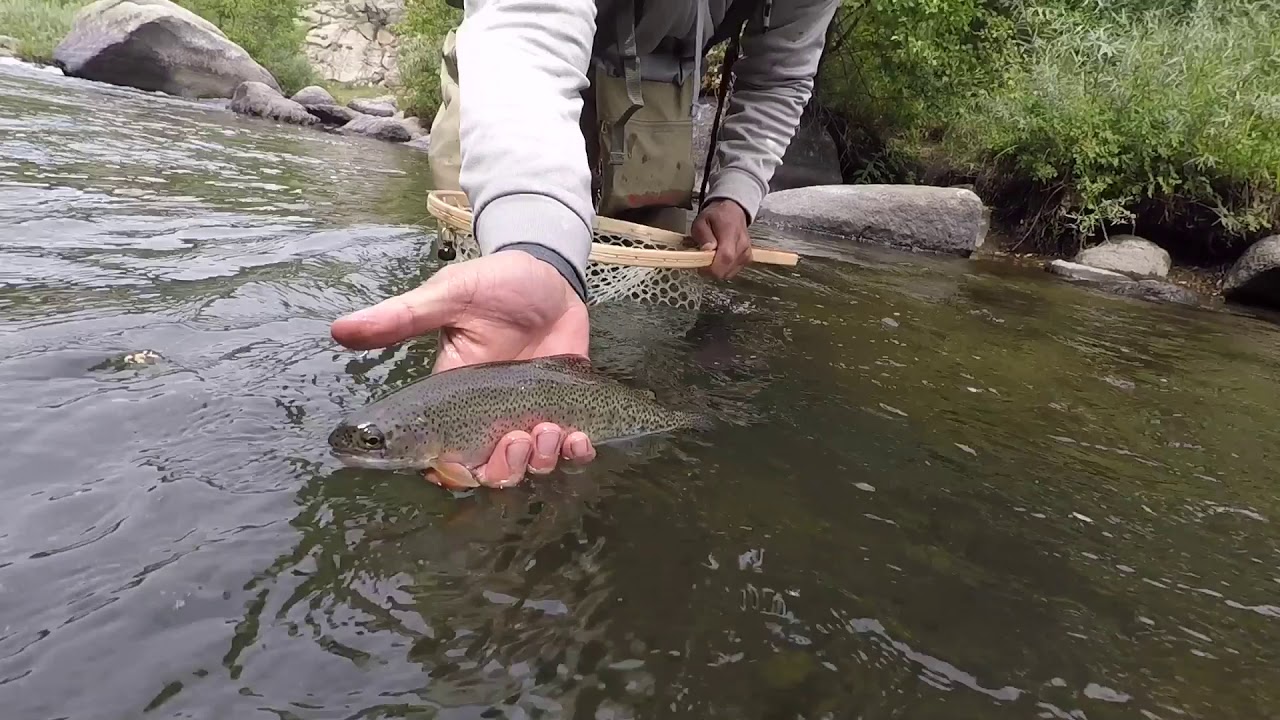 Fly fishing with nymphs YouTube